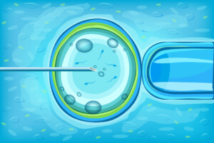 Procedura in vitro realizowana przez kliniki