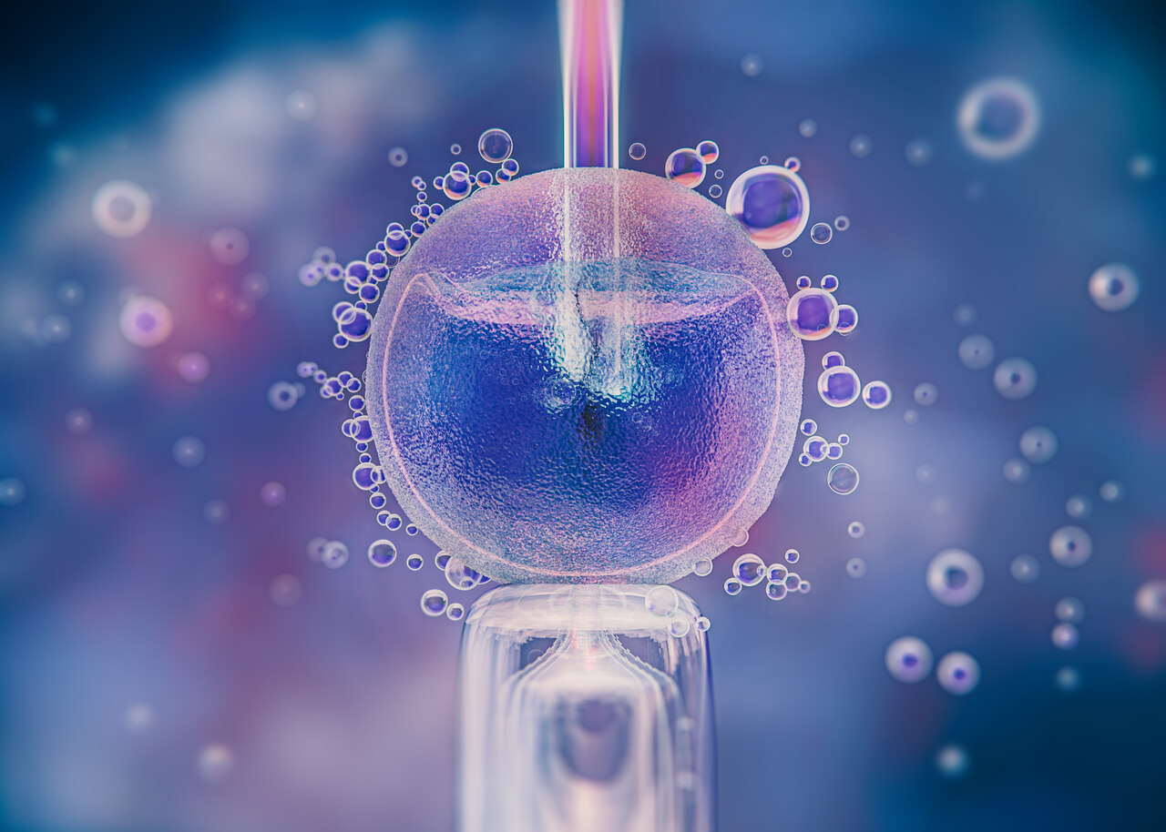 Refundacja in vitro - szczegóły i procedury